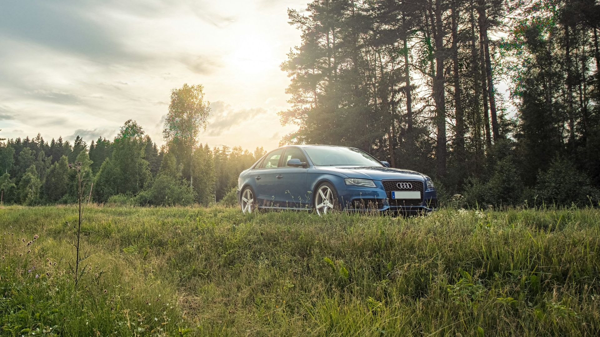 white car on green grass field near green trees under white clouds during daytime