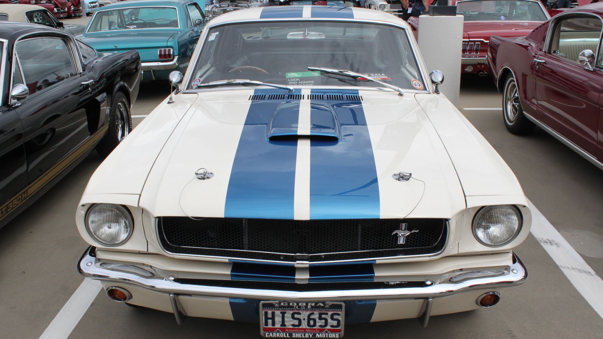 File:1965 Ford Mustang Shelby GT350 (24160661380).jpg
