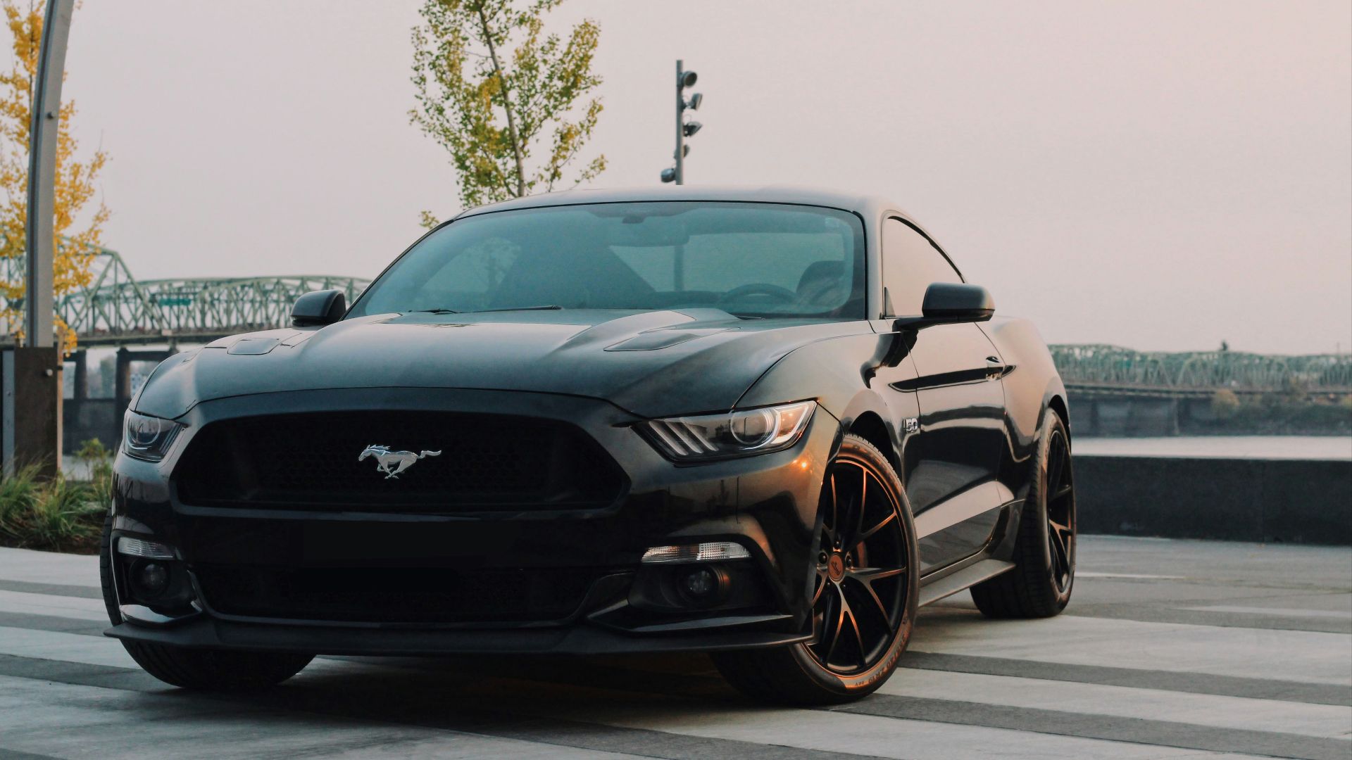 black Ford Mustang coupe parked near green tree