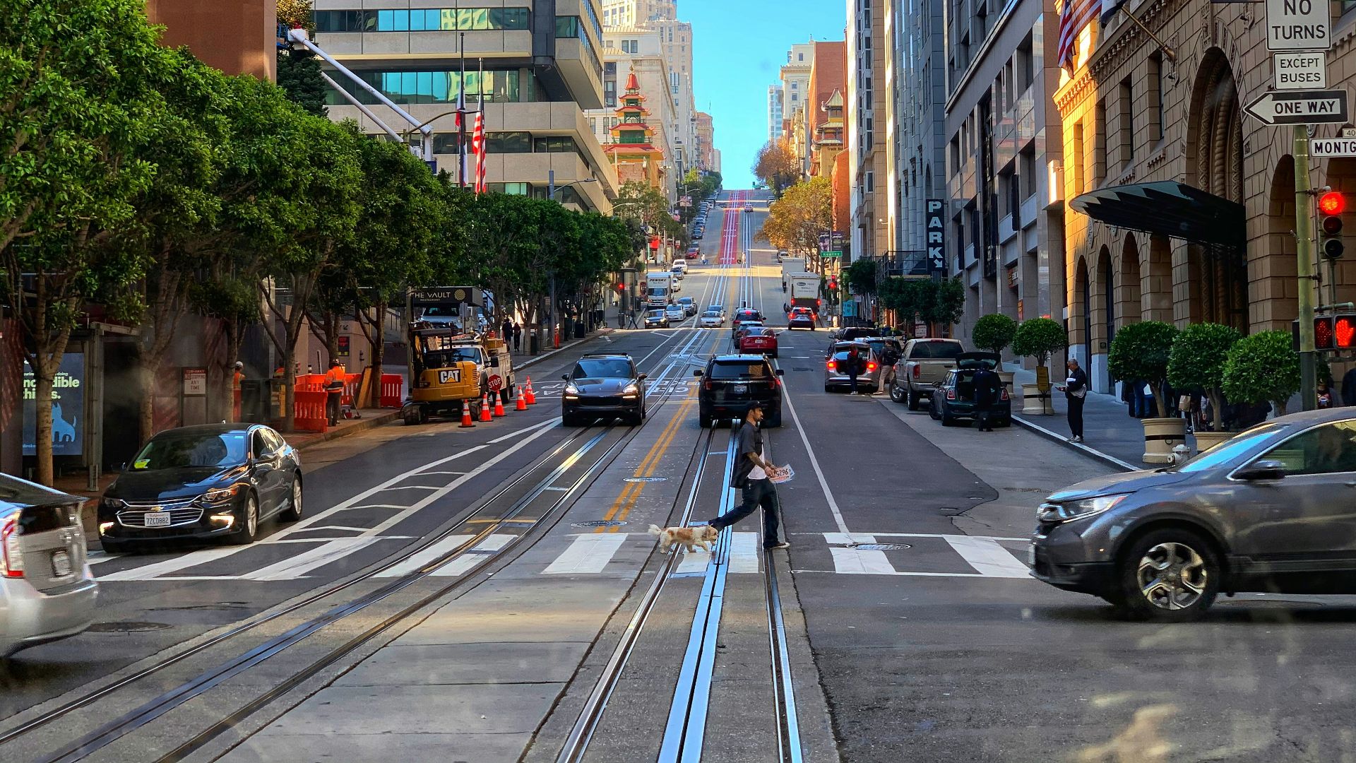 cars on road near high rise buildings during daytime