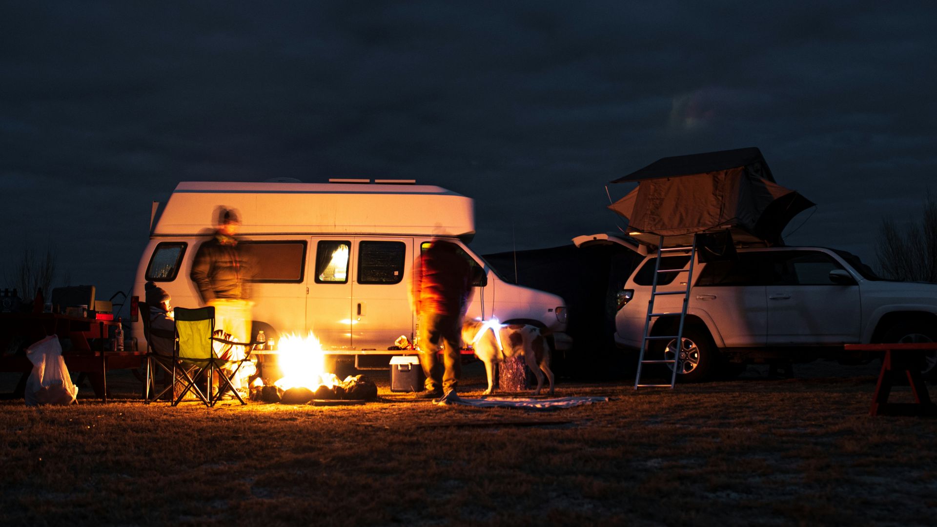 white and brown horse with carriage on brown field during night time