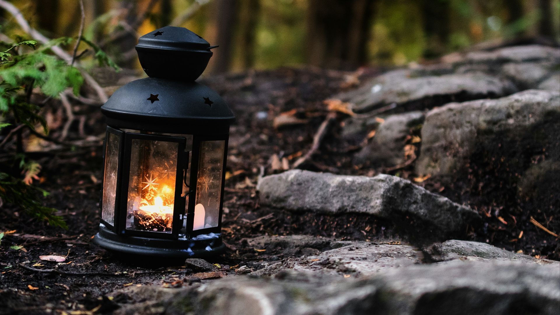 a lantern is sitting on the ground in the woods