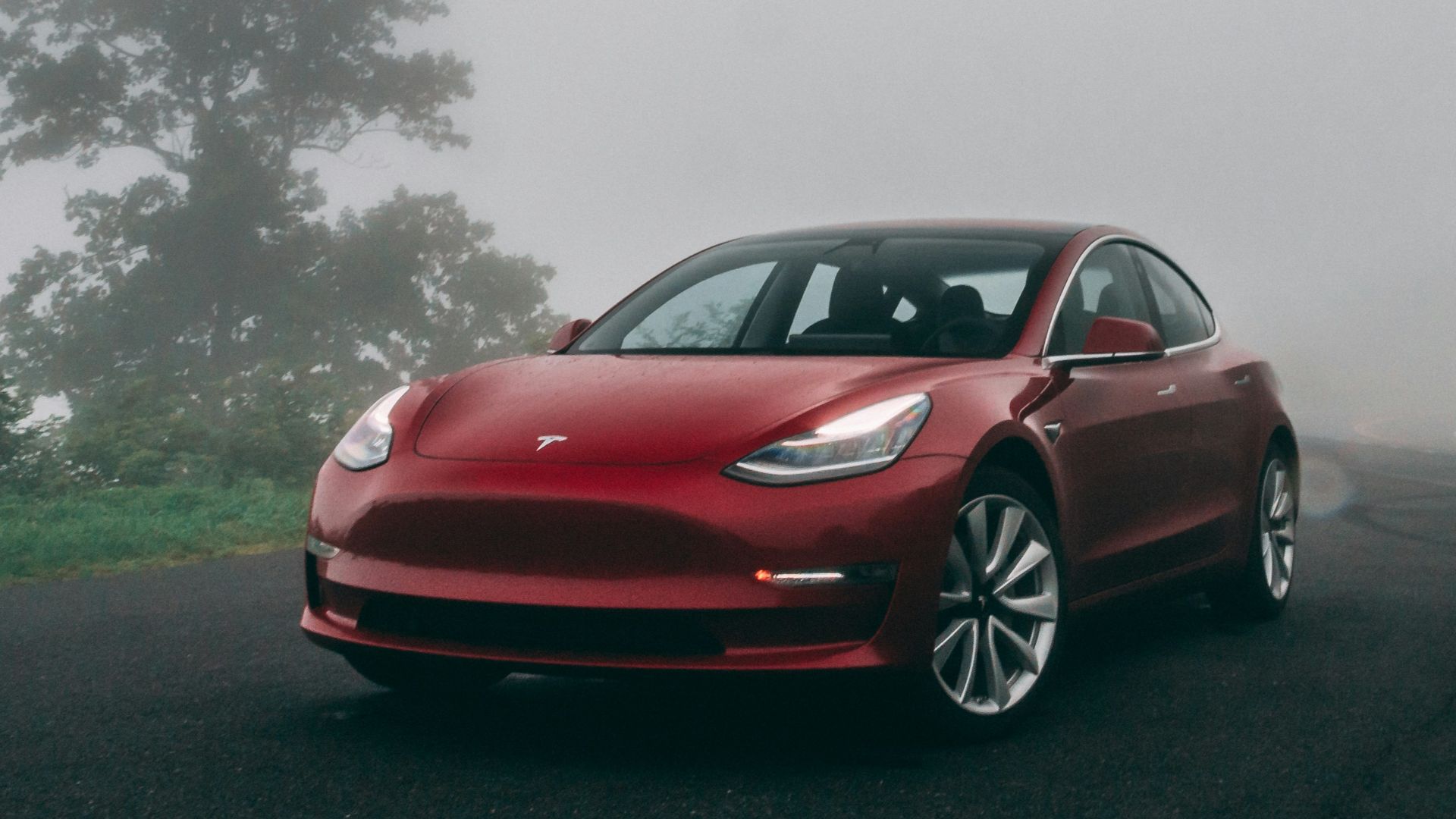 red car parked near trees during foggy weather
