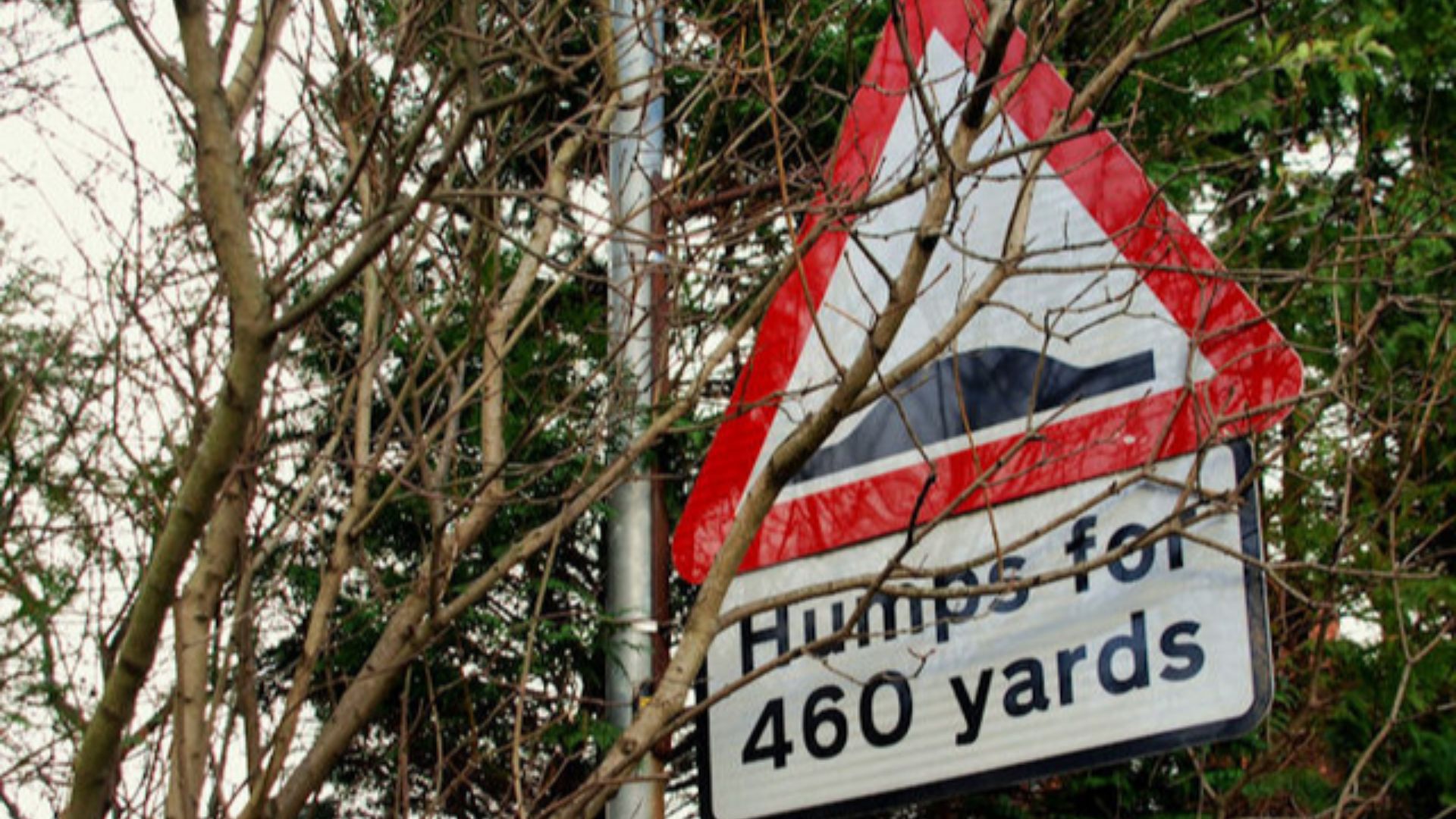 File:Hidden road sign, Belfast - geograph.org.uk - 1594704.jpg