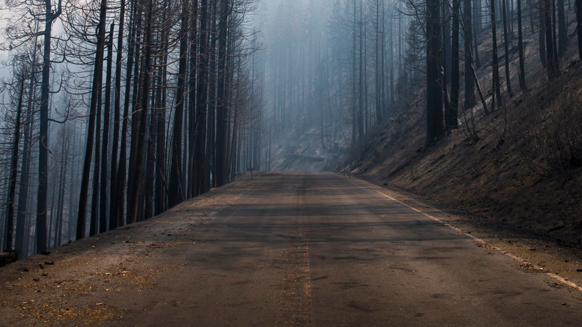 File:Road impacts on the Ferguson Fire.jpg