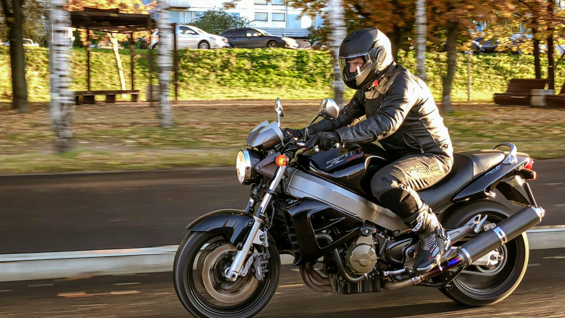 Viktorya  Sergeeva 🫂