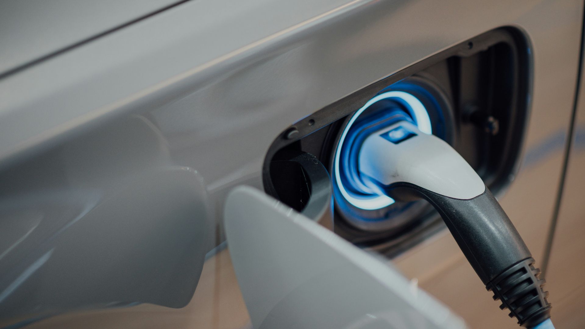 white and blue plastic tool