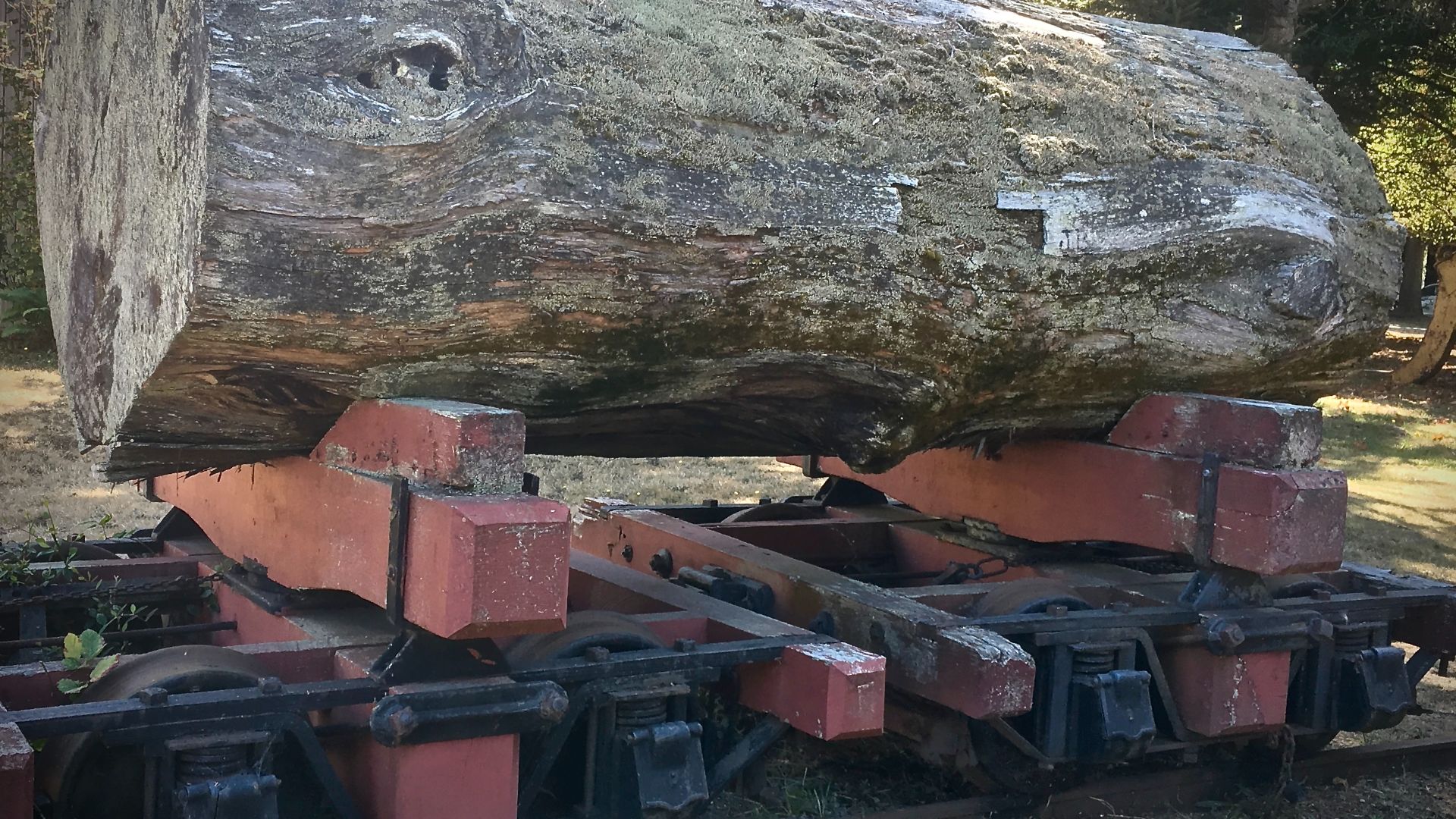 File:Redwood log on railcar, FHSHM.jpeg