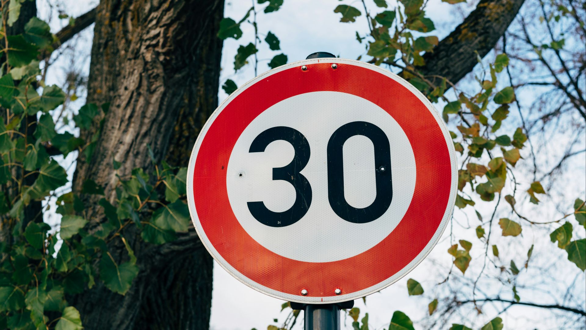 a red and white speed limit sign next to a tree
