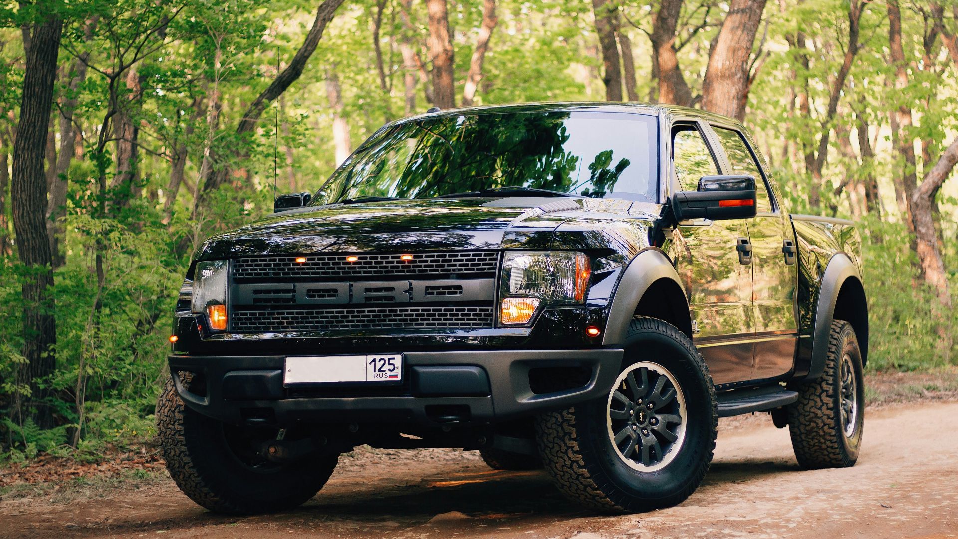 black jeep wrangler on forest during daytime
