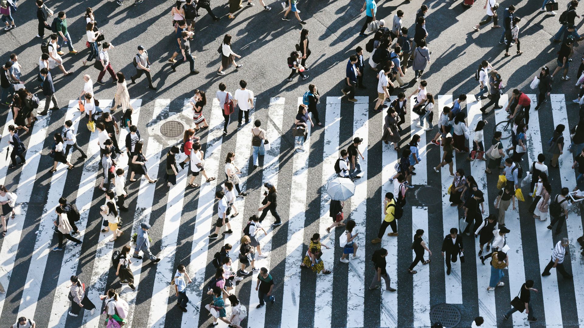 aerial view of people walking on raod