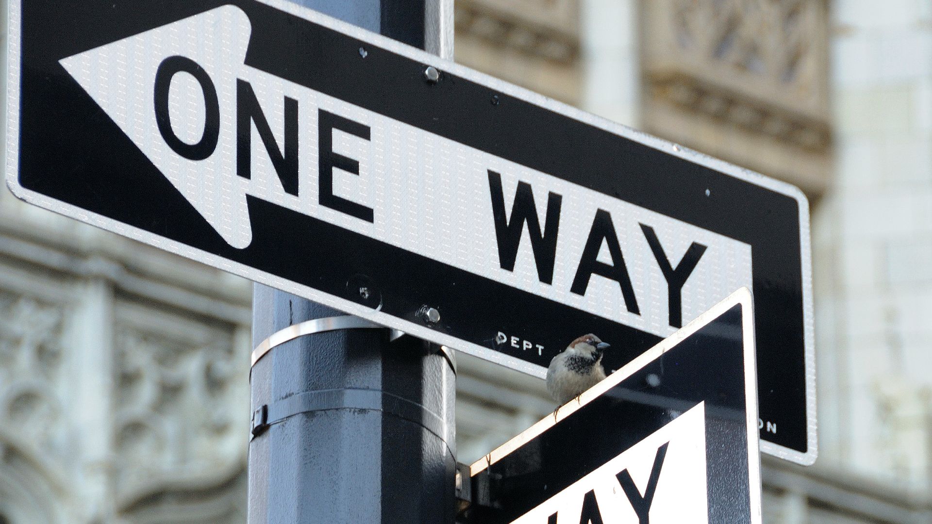 black and white street sign