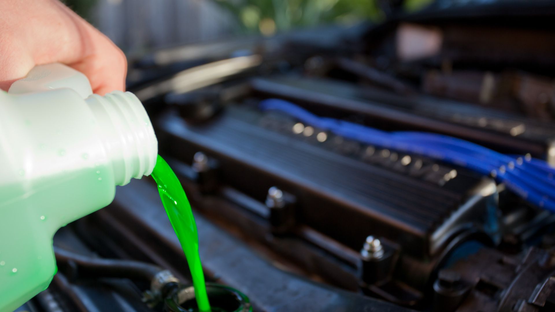File:Engine coolant.jpg