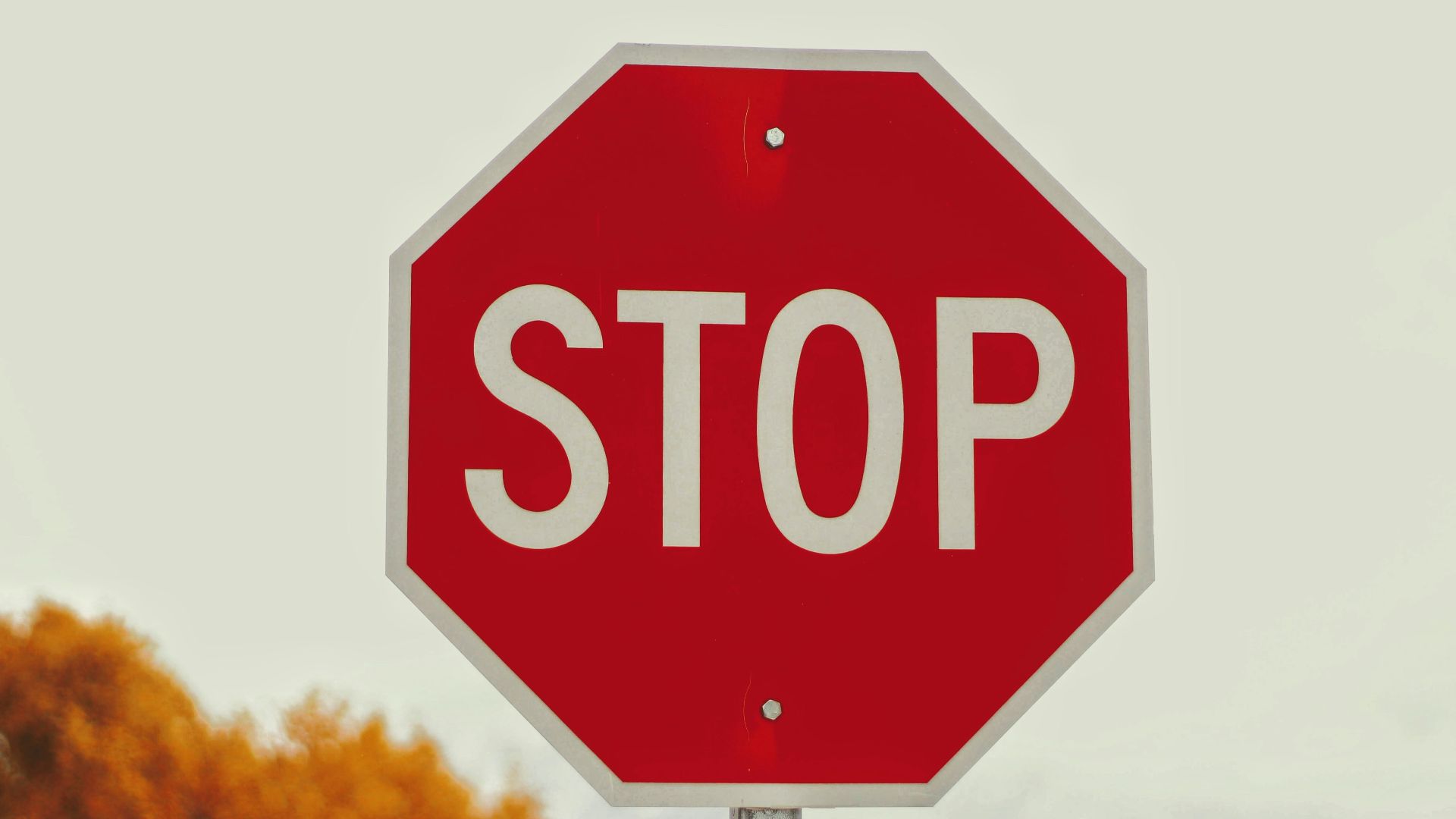 selective-photography of stop signage