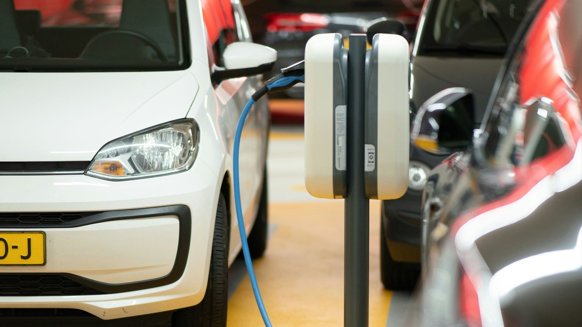 white bmw car on road