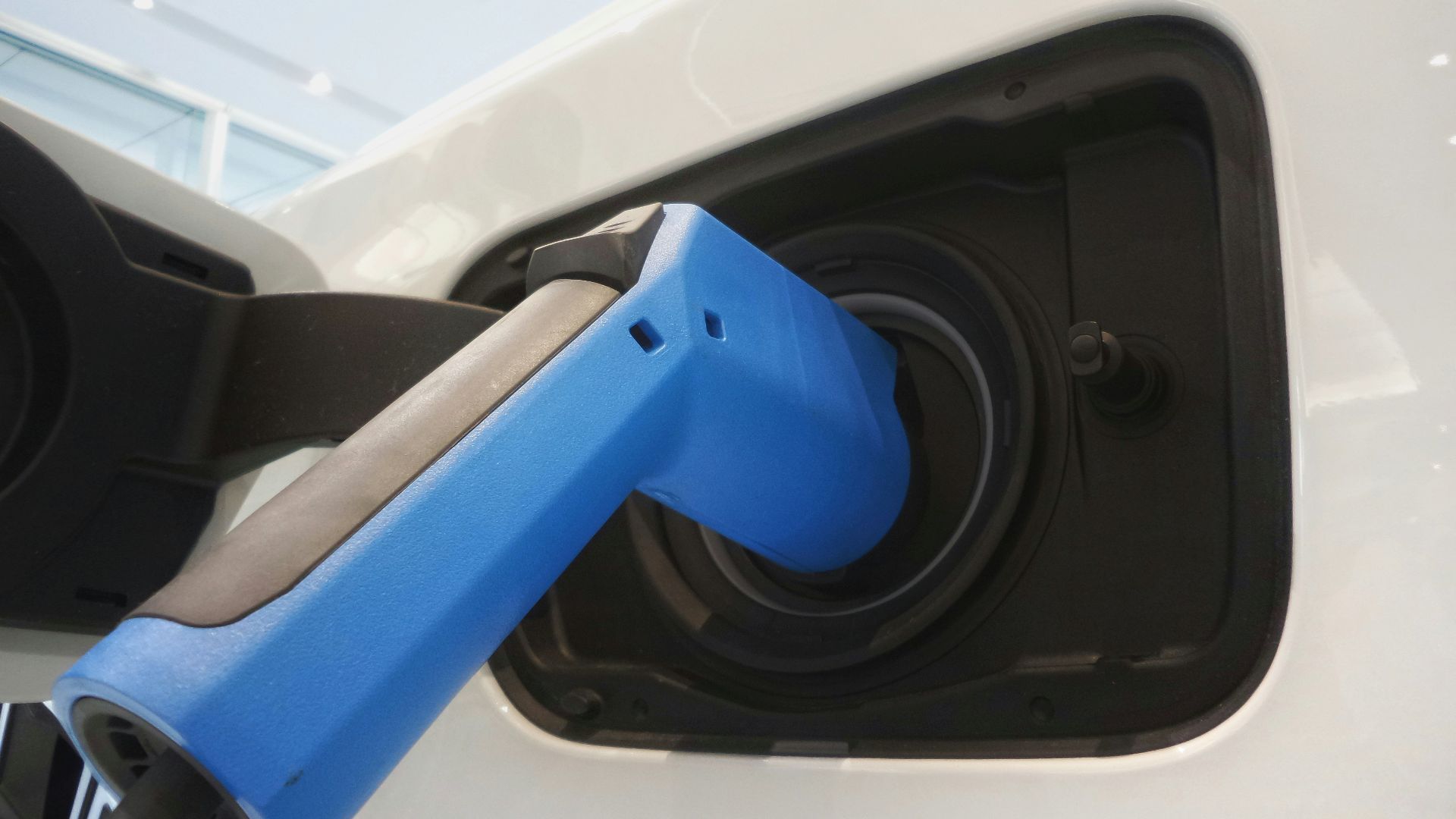 blue and black plastic tool