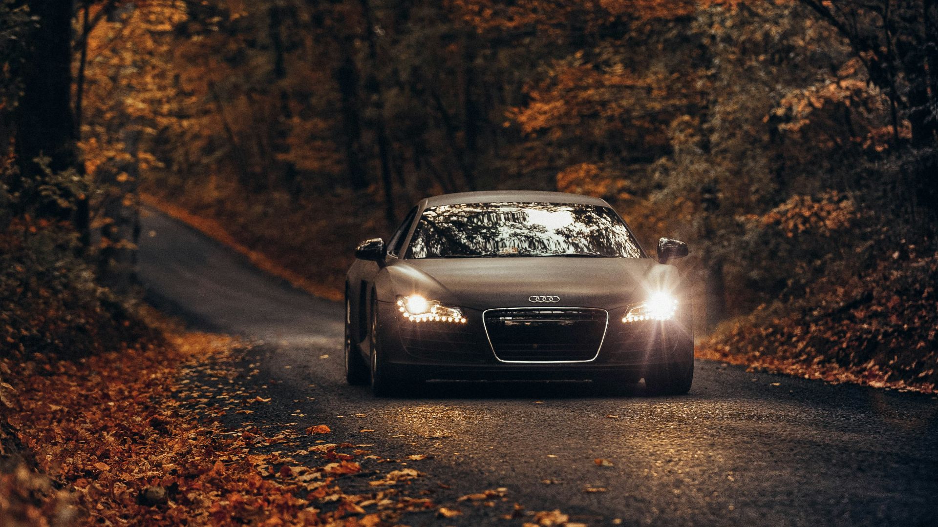 black vehicle on road between trees during daytime