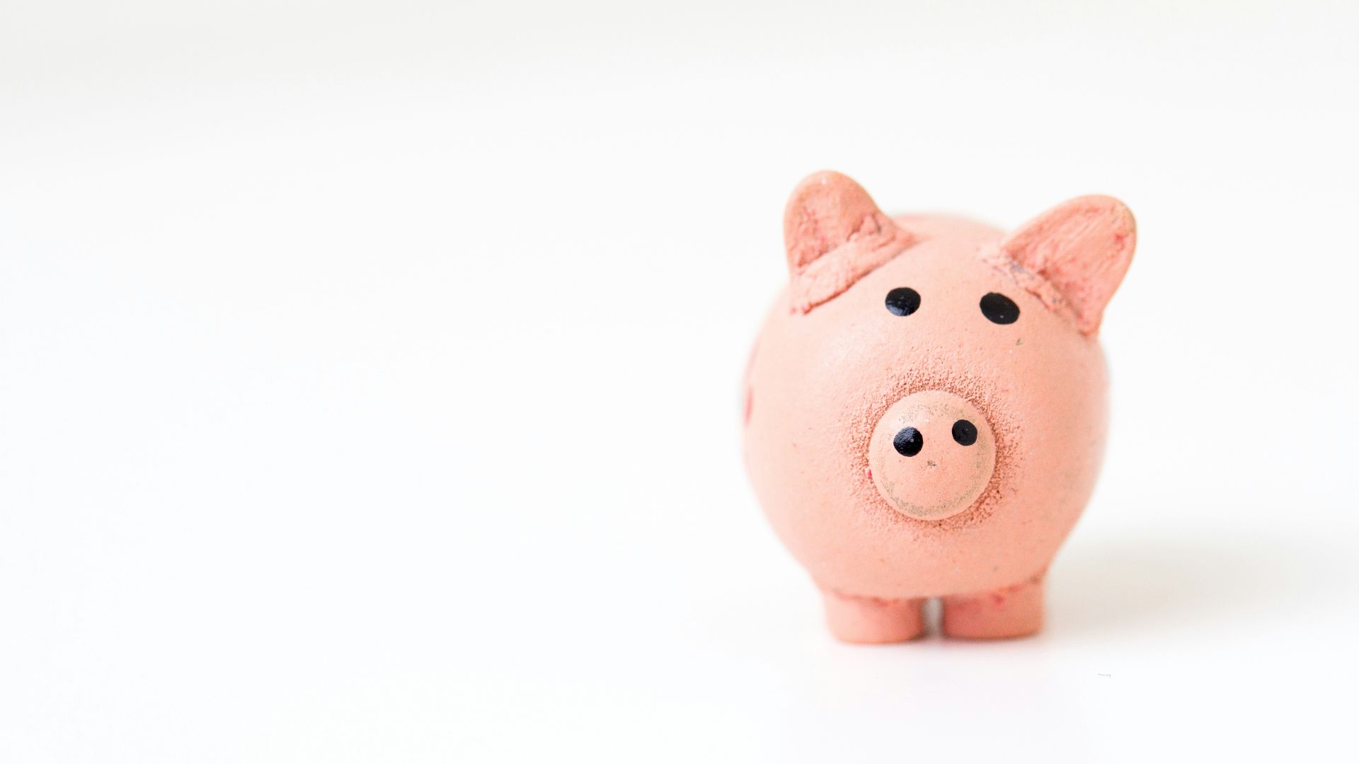 pink pig figurine on white surface