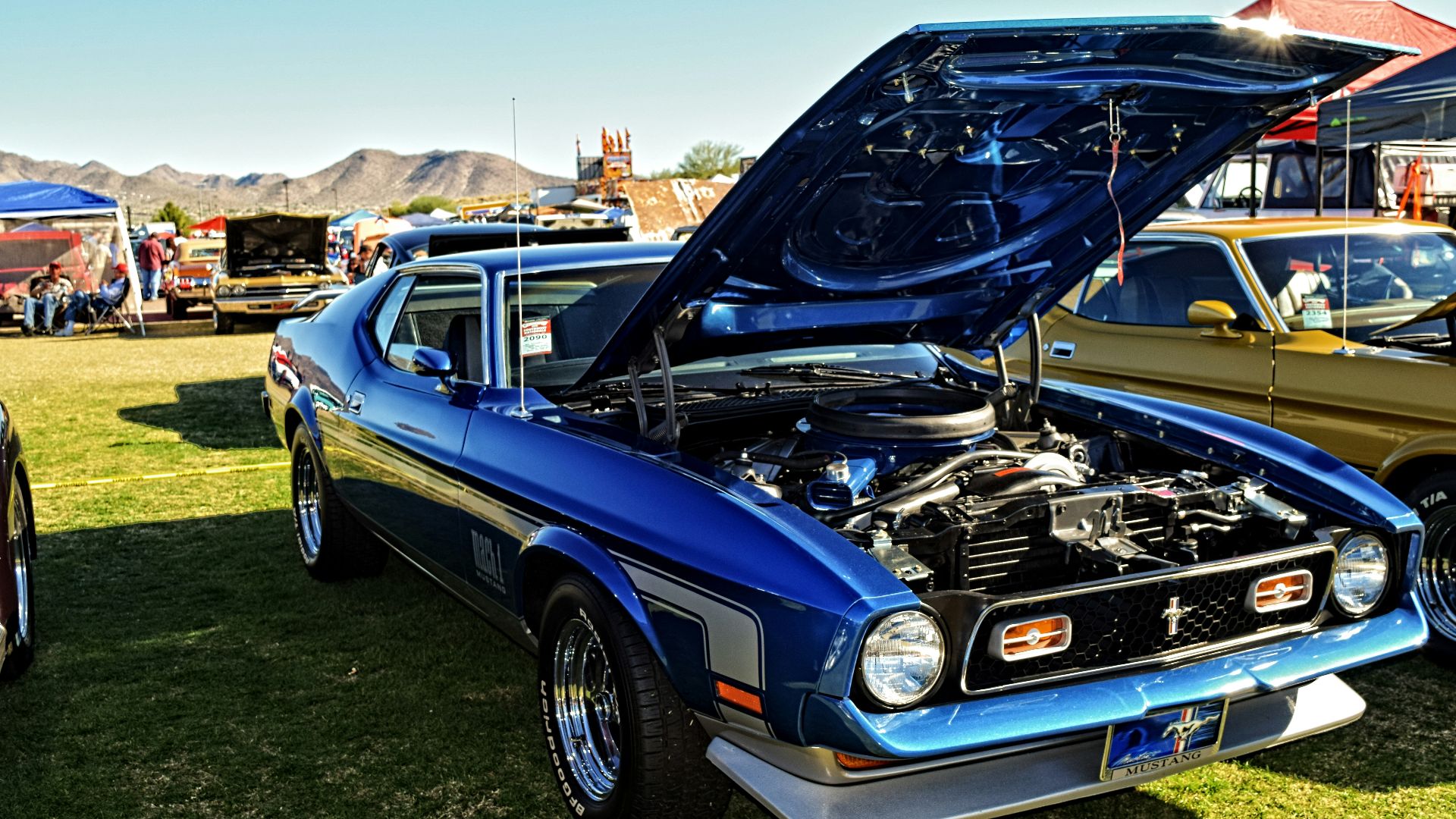 blue Ford Mustang coupe