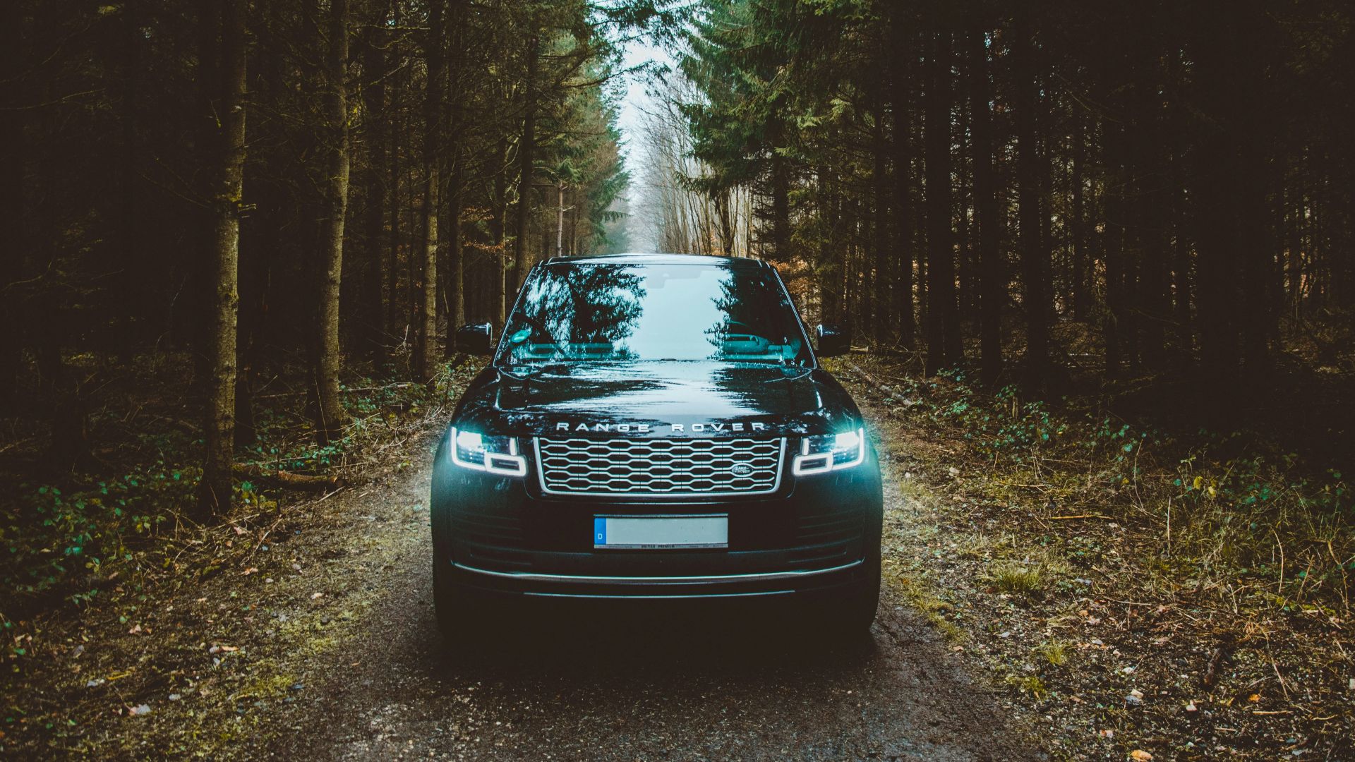 green Land Rover Range Rover SUV passing on dirt road between green trees