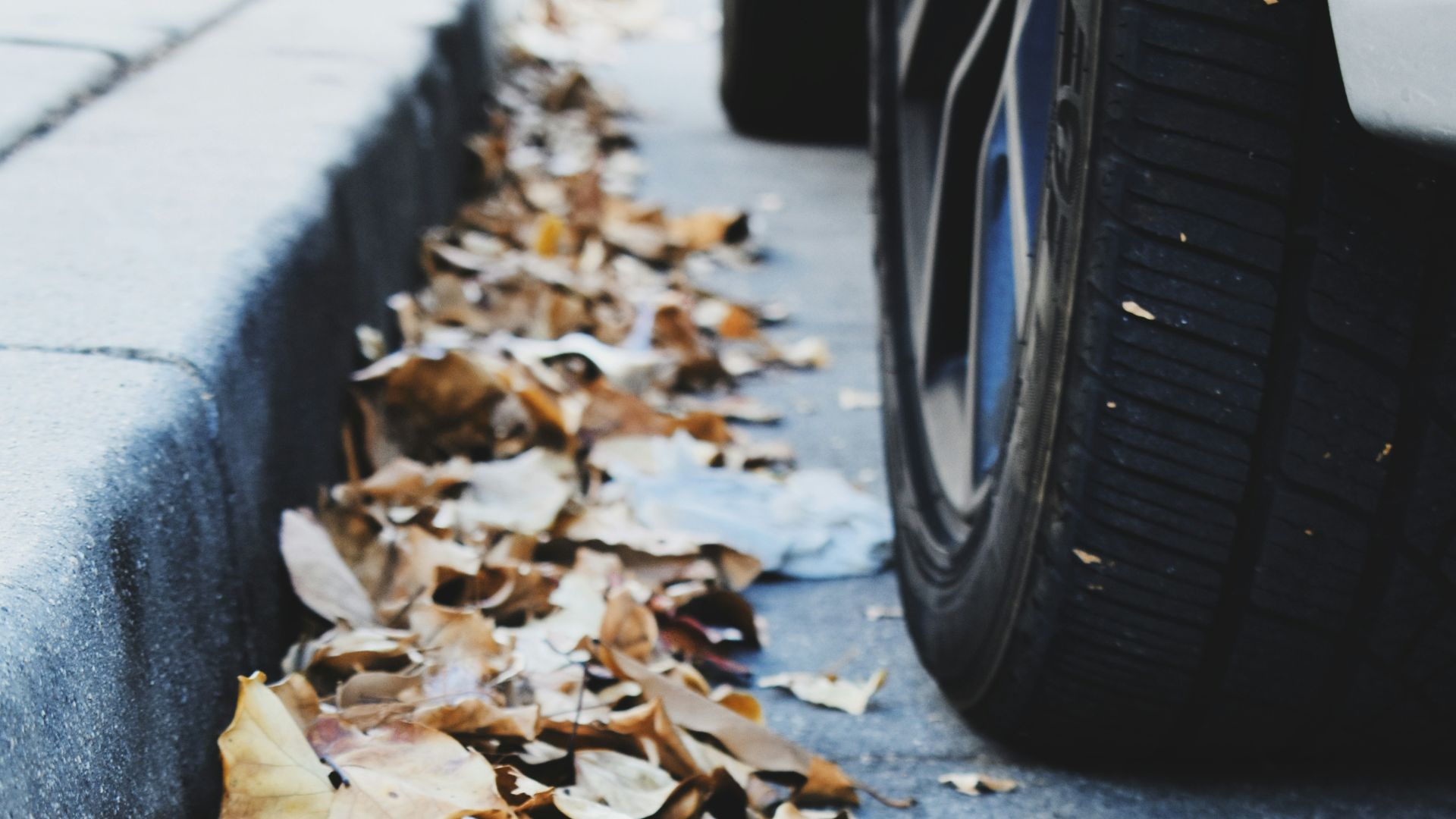 A car parked on the side of a road next to a pile of leaves