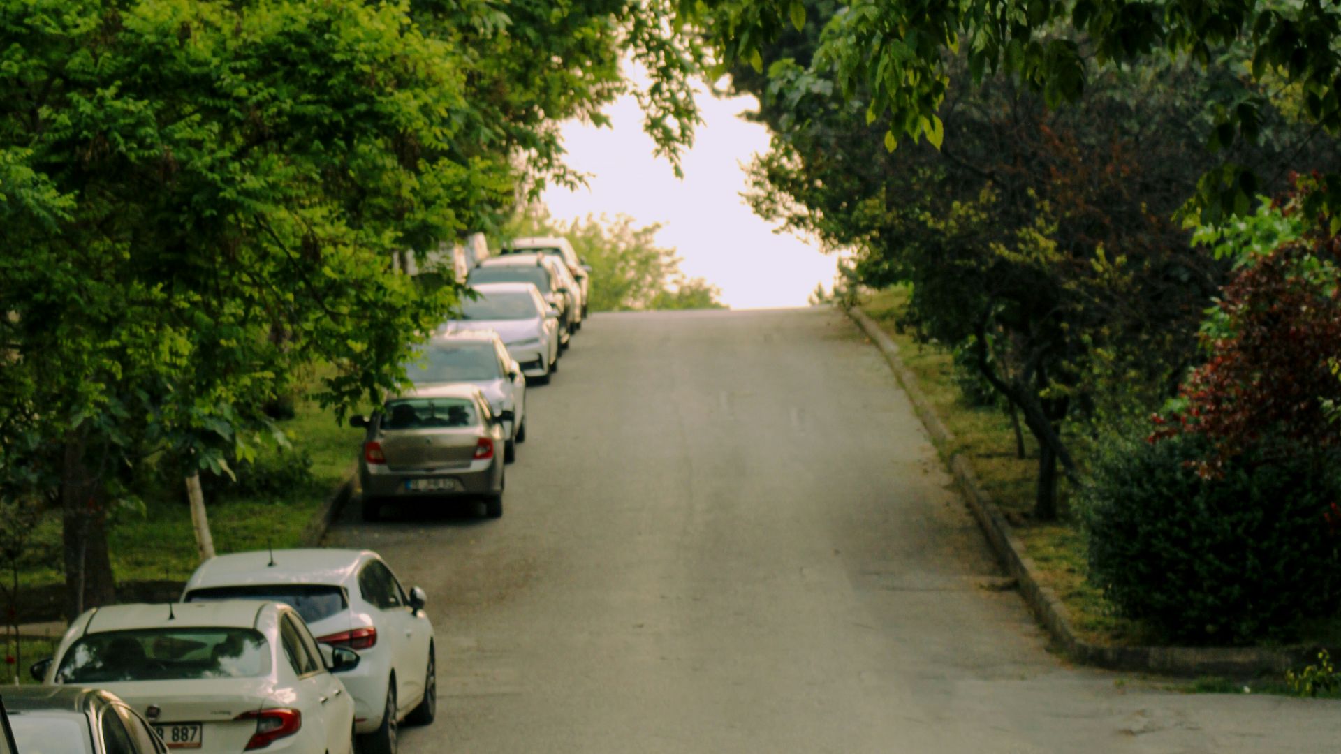 a row of parked cars sitting on the side of a road