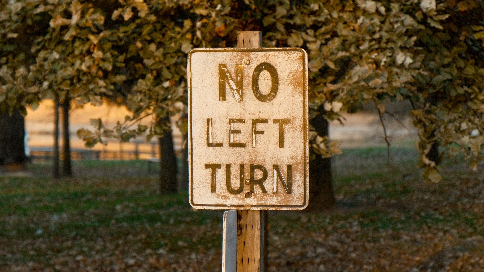 a no left turn sign on a wooden pole
