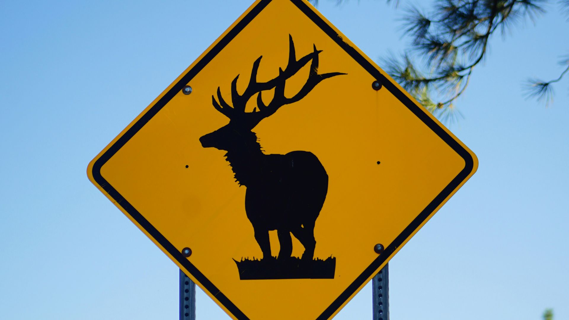 yellow and black street sign