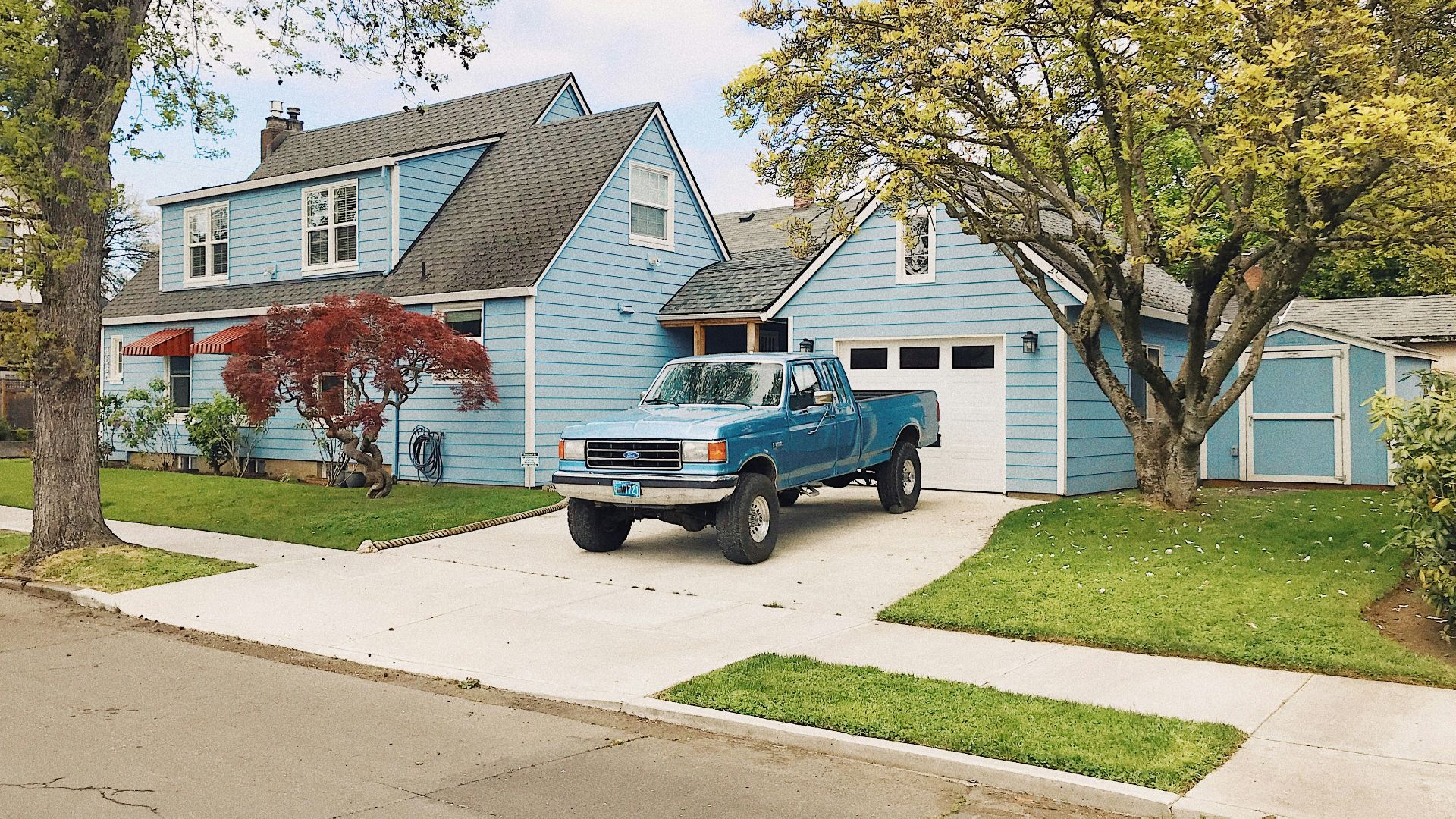 blue and white single cab pickup truck parked near green tree during daytime