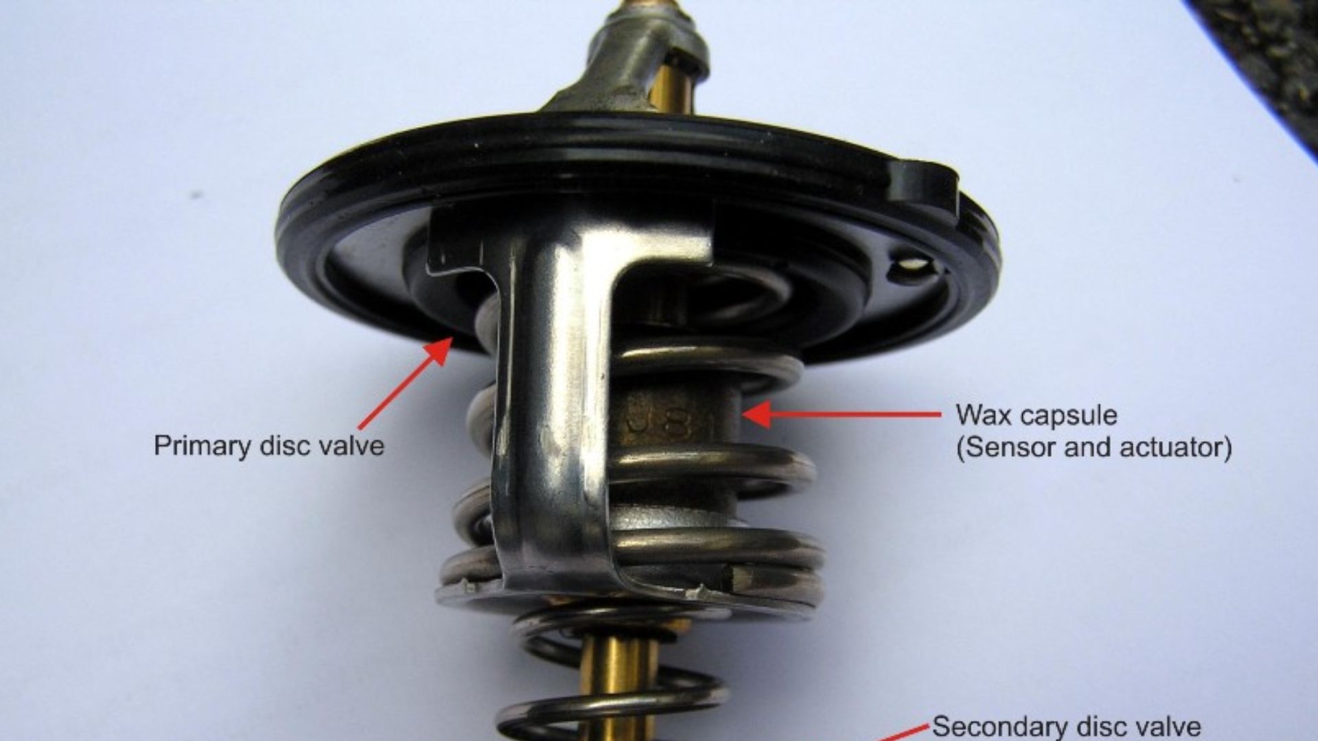 File:Double valve automotive thermostat.jpg