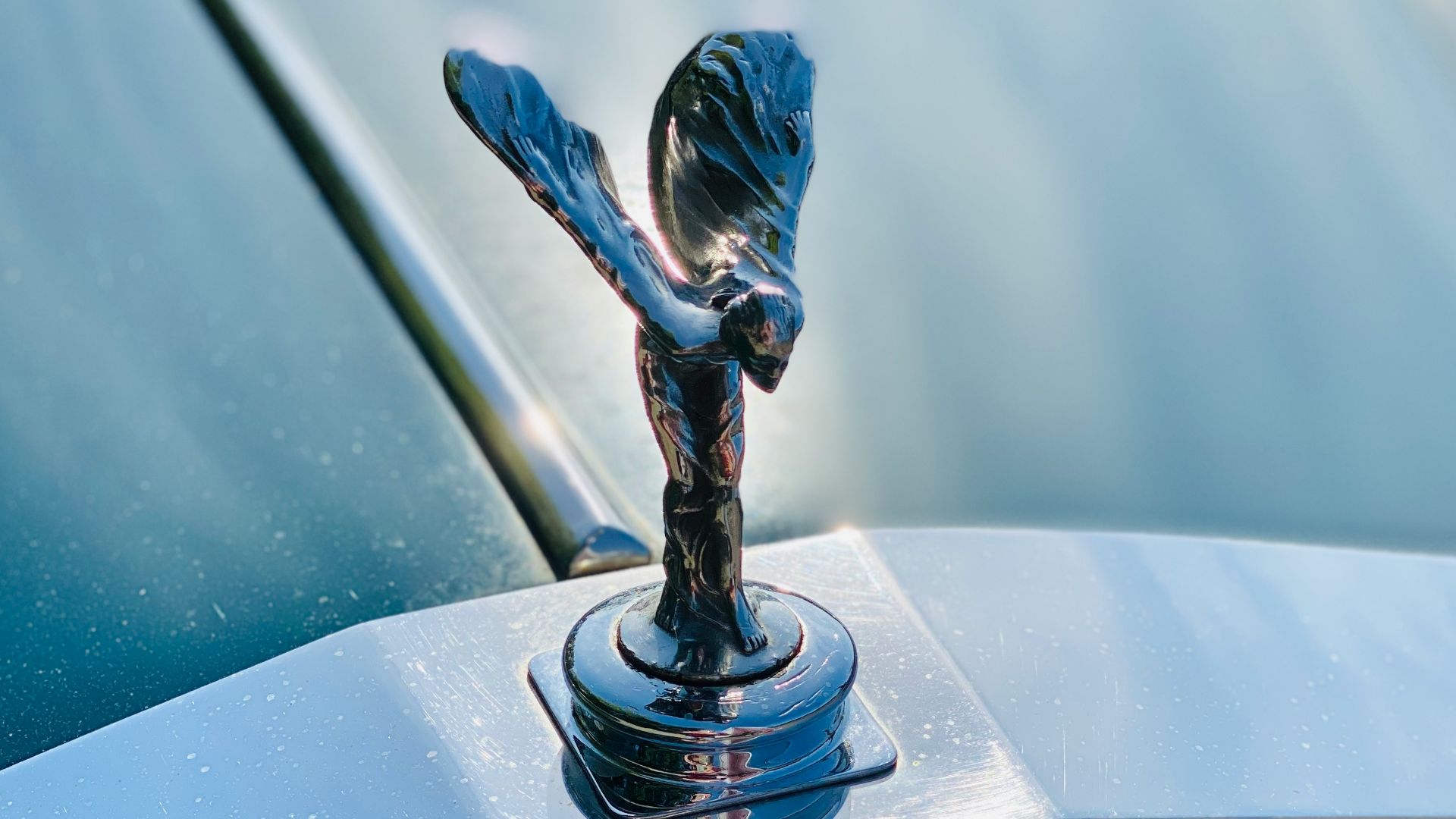 black and white bird figurine