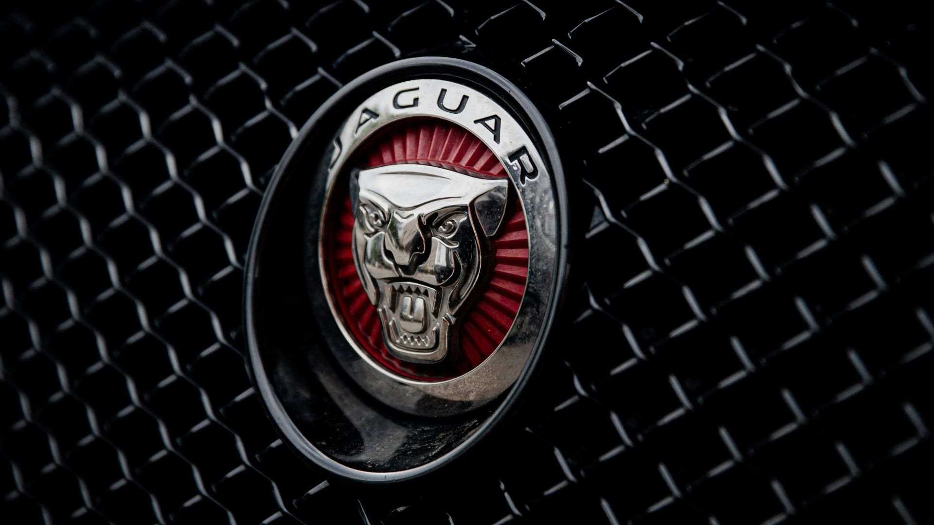 black and silver ford mustang emblem