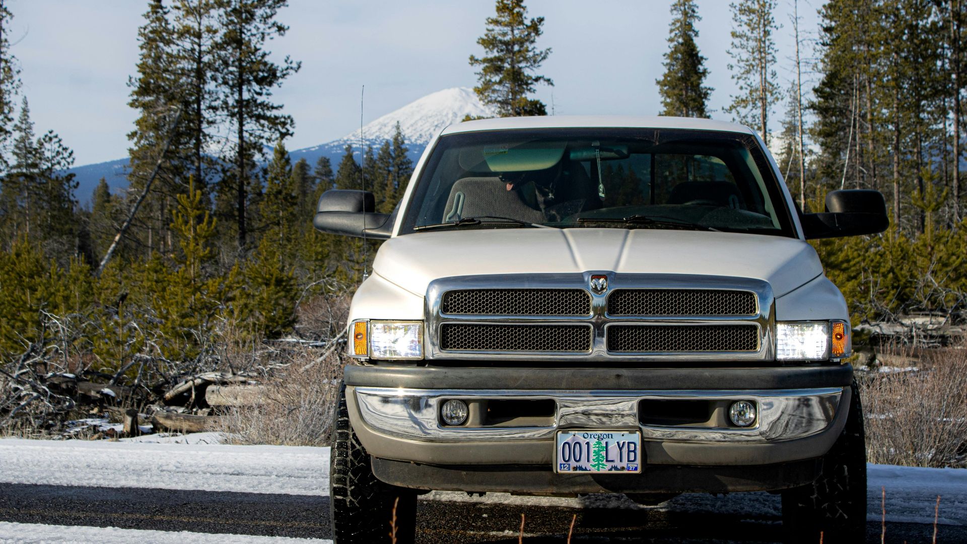 Whispering Woods Photography