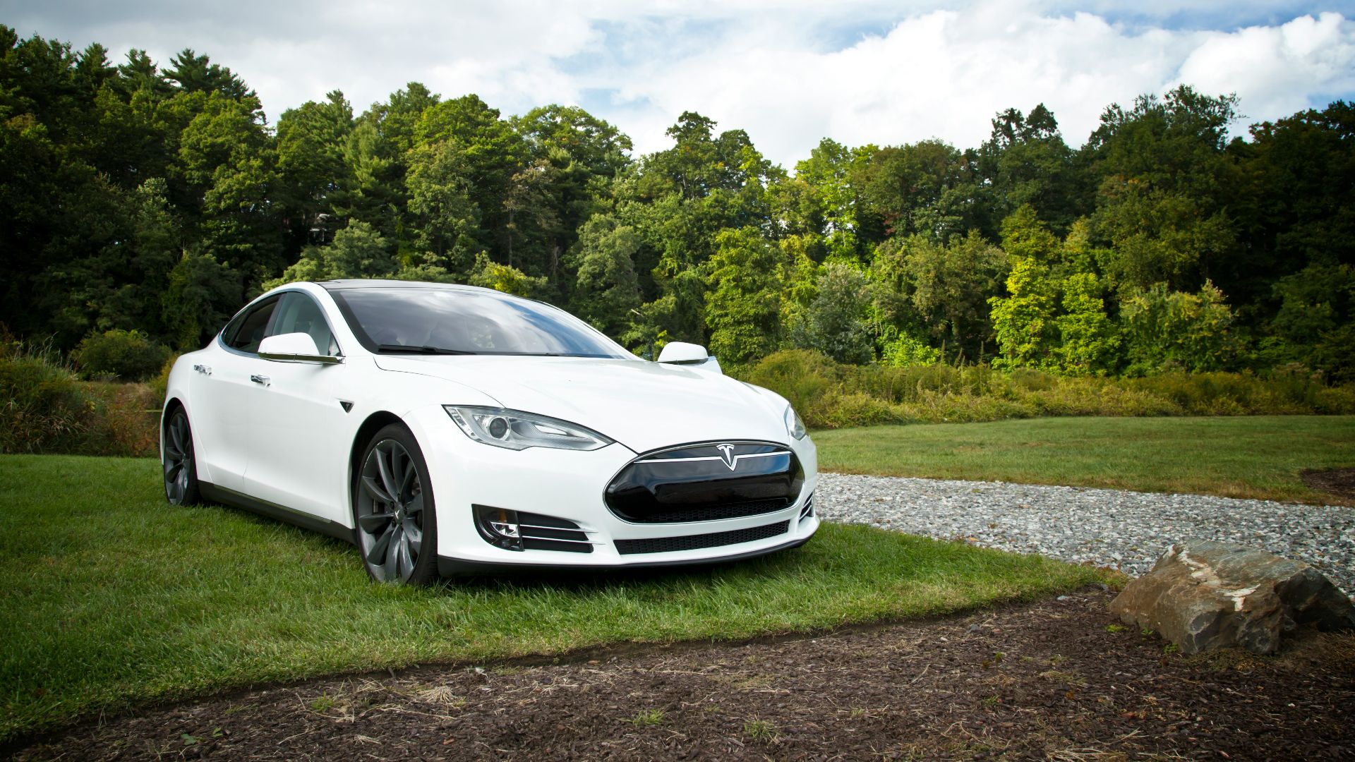 white tesla parked on green grass lawn during day time