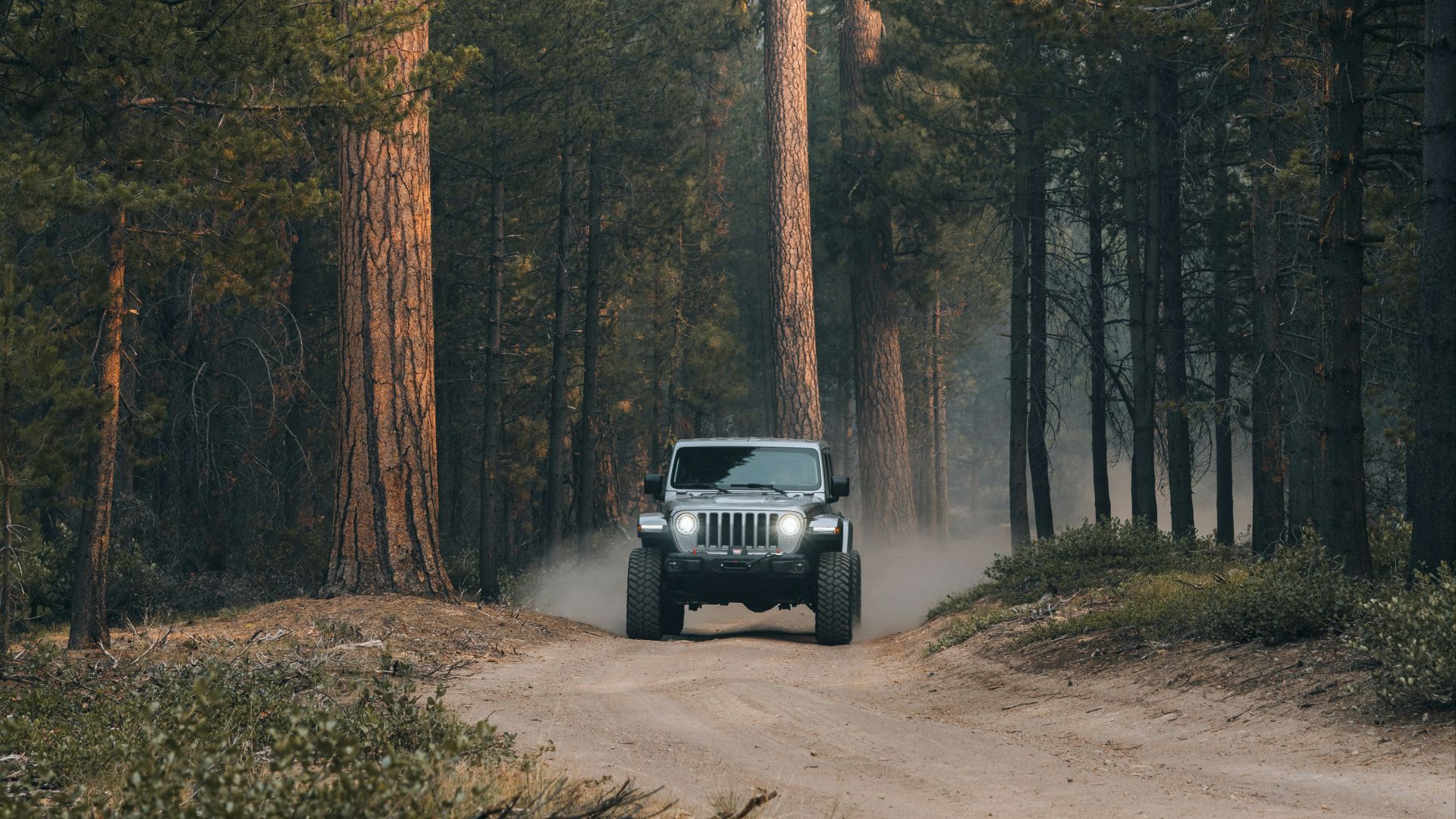 black car on road in between trees during daytime