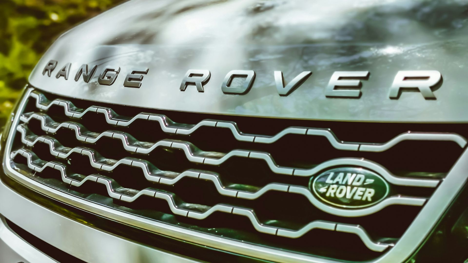 silver and green nissan emblem