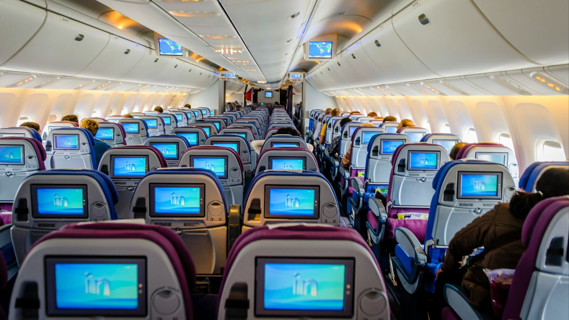 blue and white airplane seats