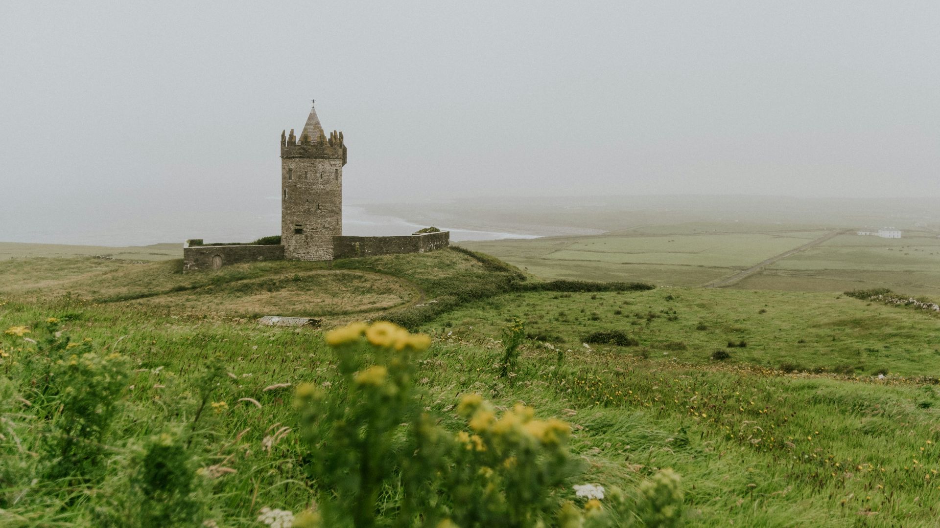 gray concrete structure surrounded by green trees