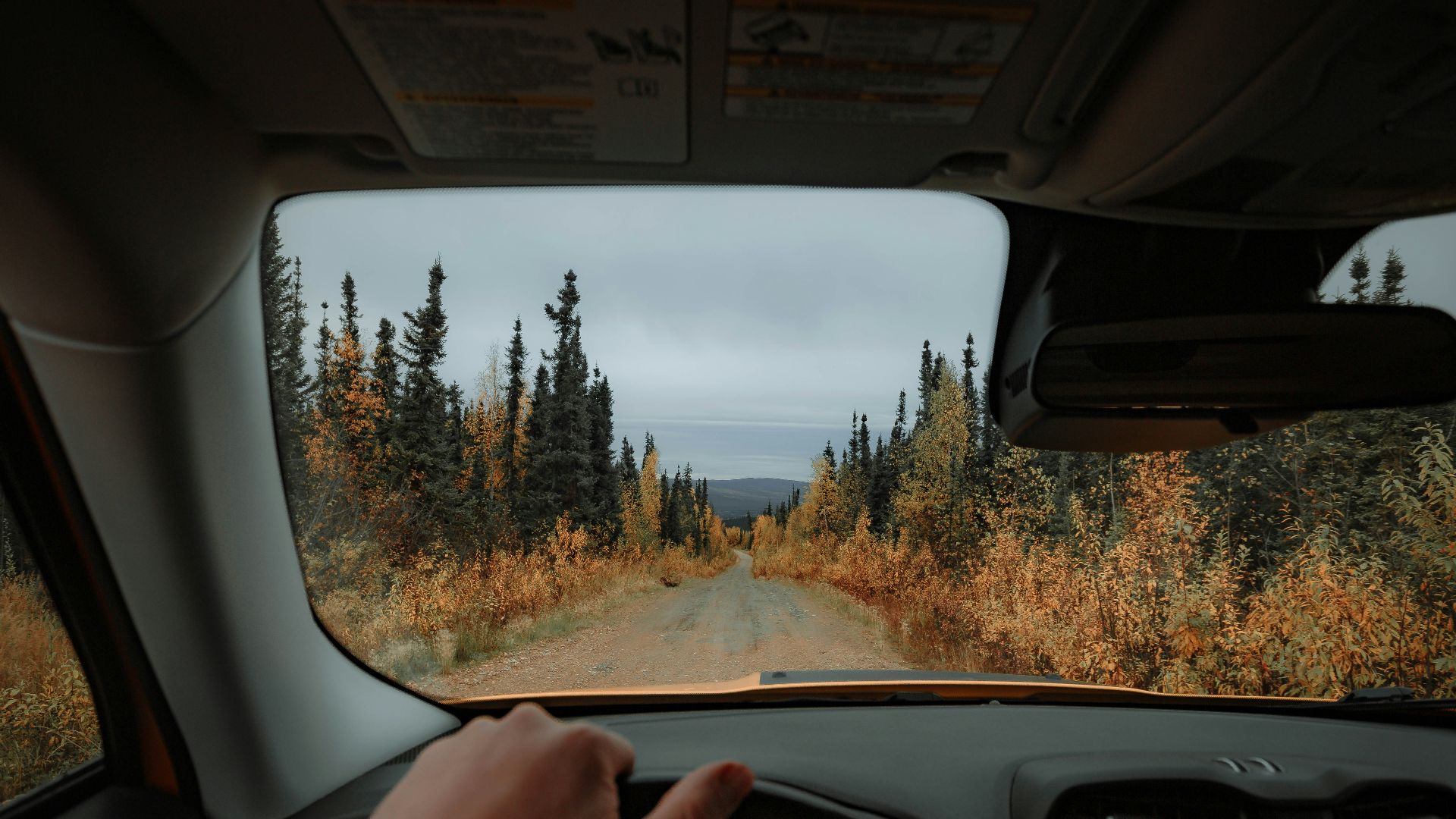 person driving car on road during daytime