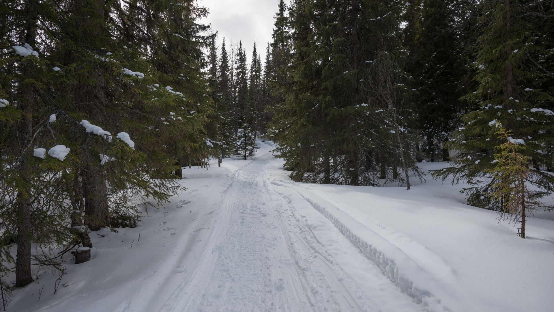 File:Torkilstöten April 2015 07.jpg