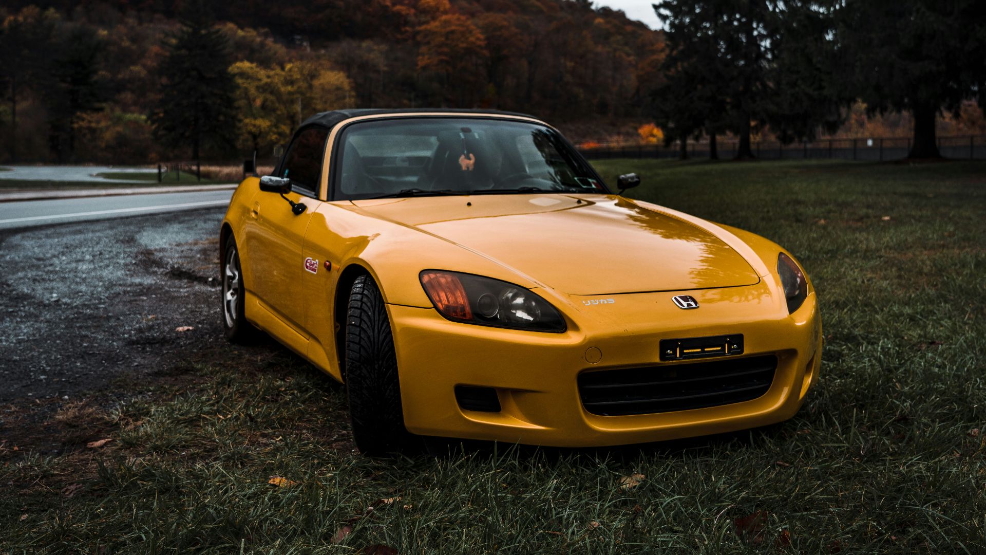 yellow porsche 911 on green grass field near mountain during daytime
