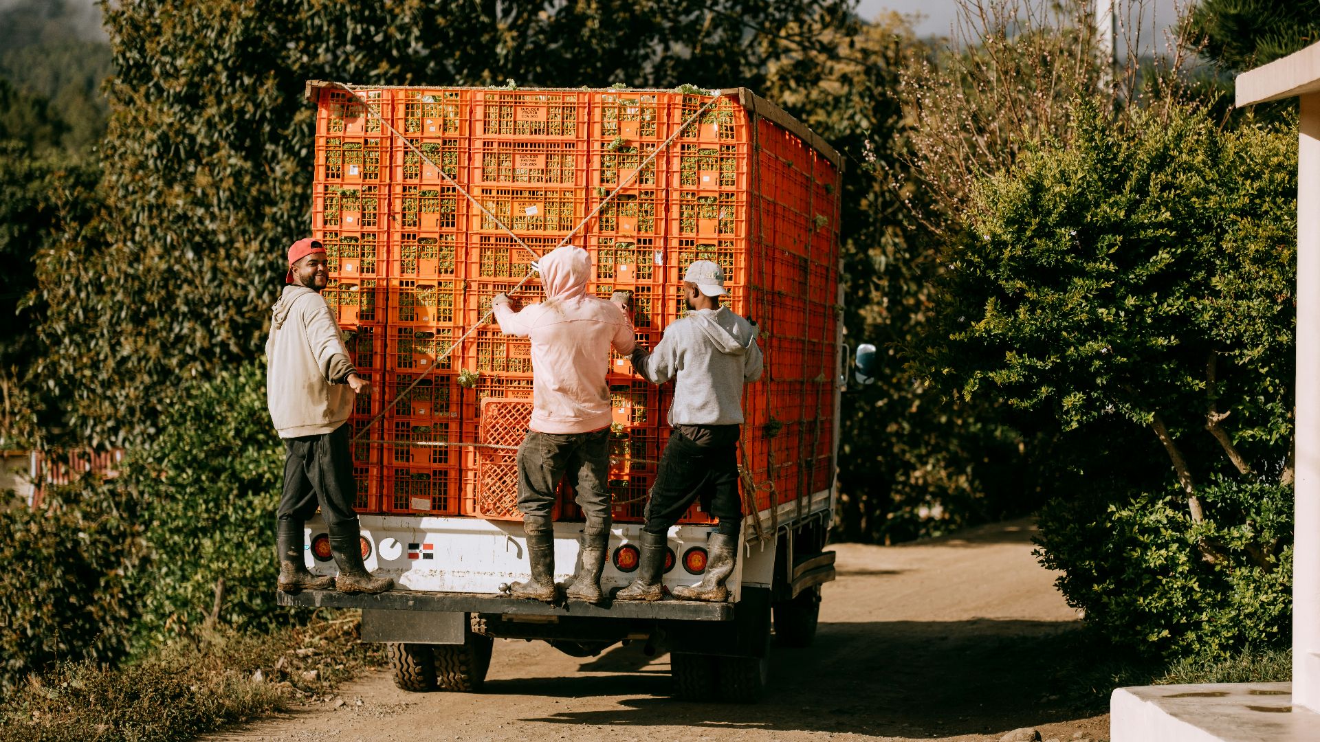 A group of people unloading a large box on the back of a truck
