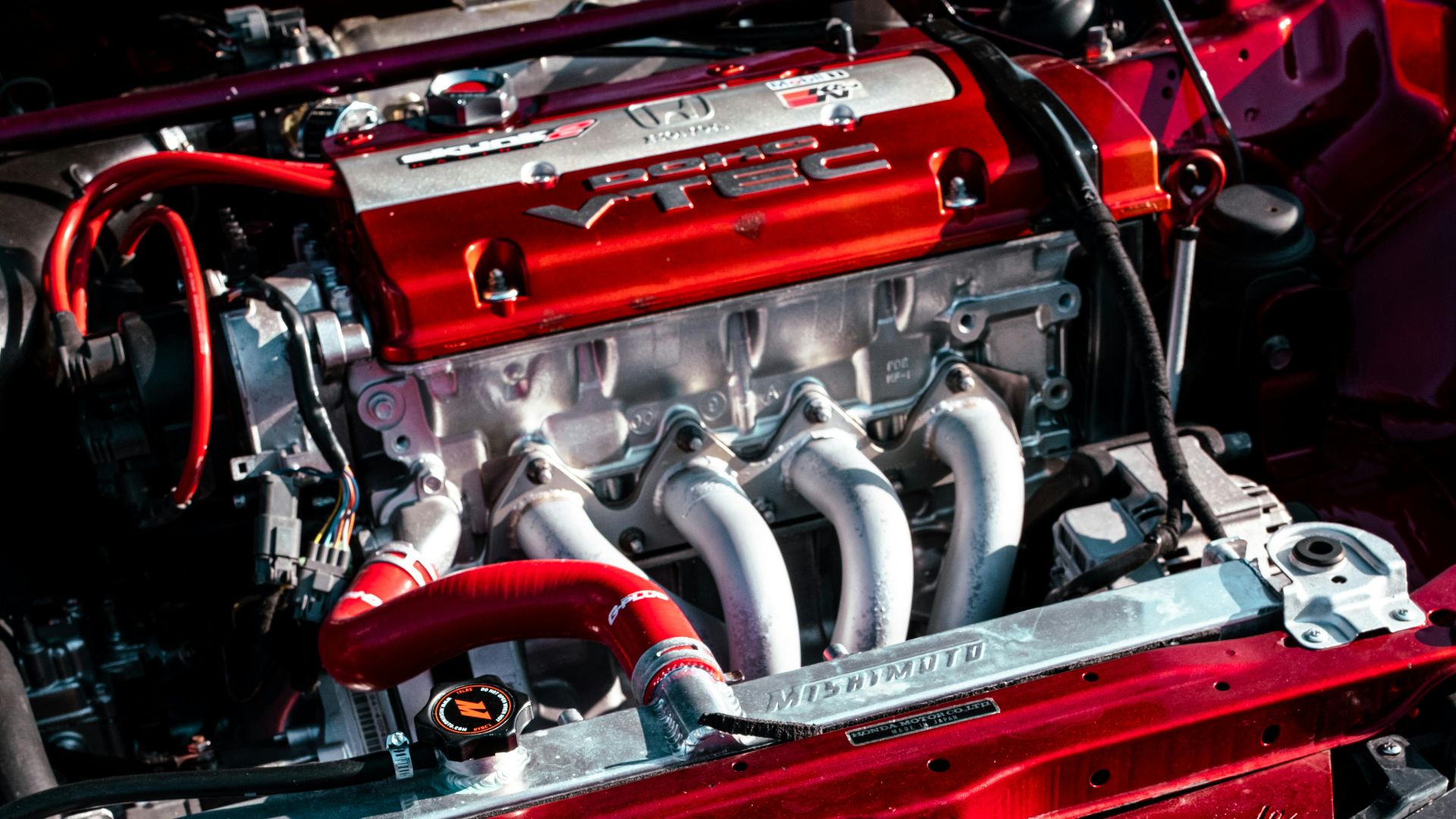 Connor Scott McManus