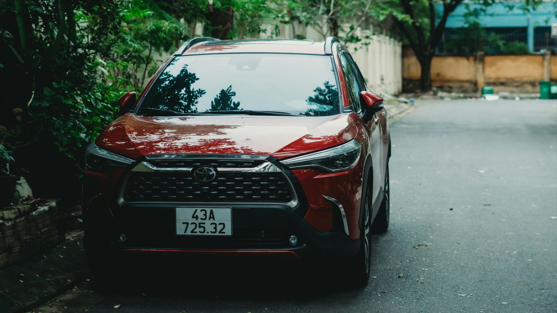 Xuân Thống Trần