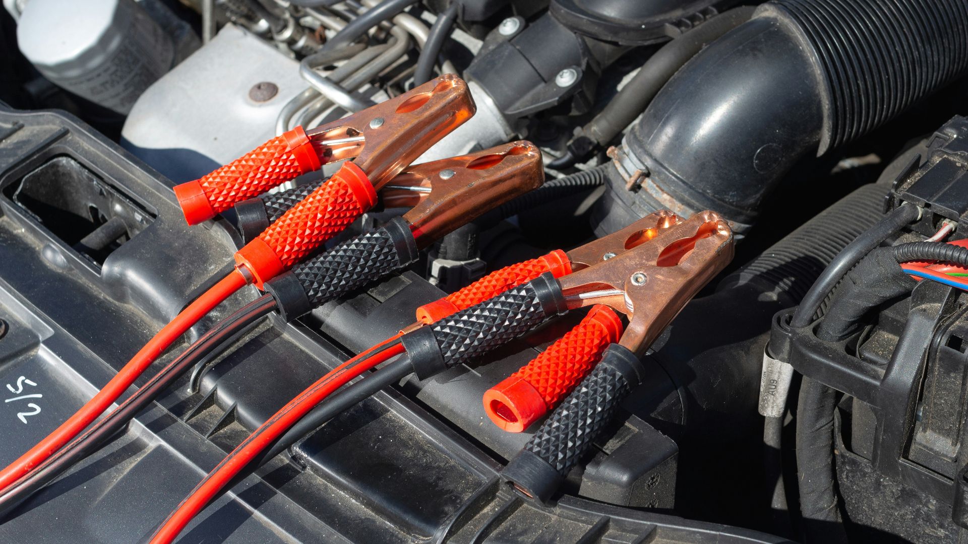 black and brown handle hand tool