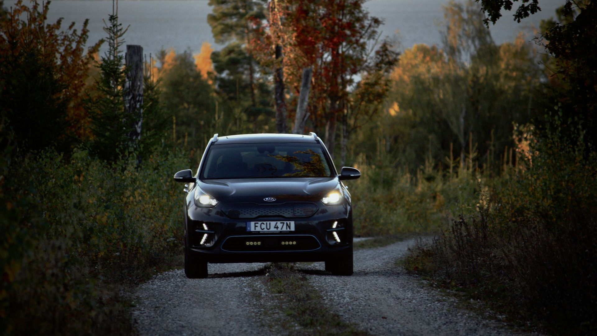 a car driving down a dirt road next to a forest