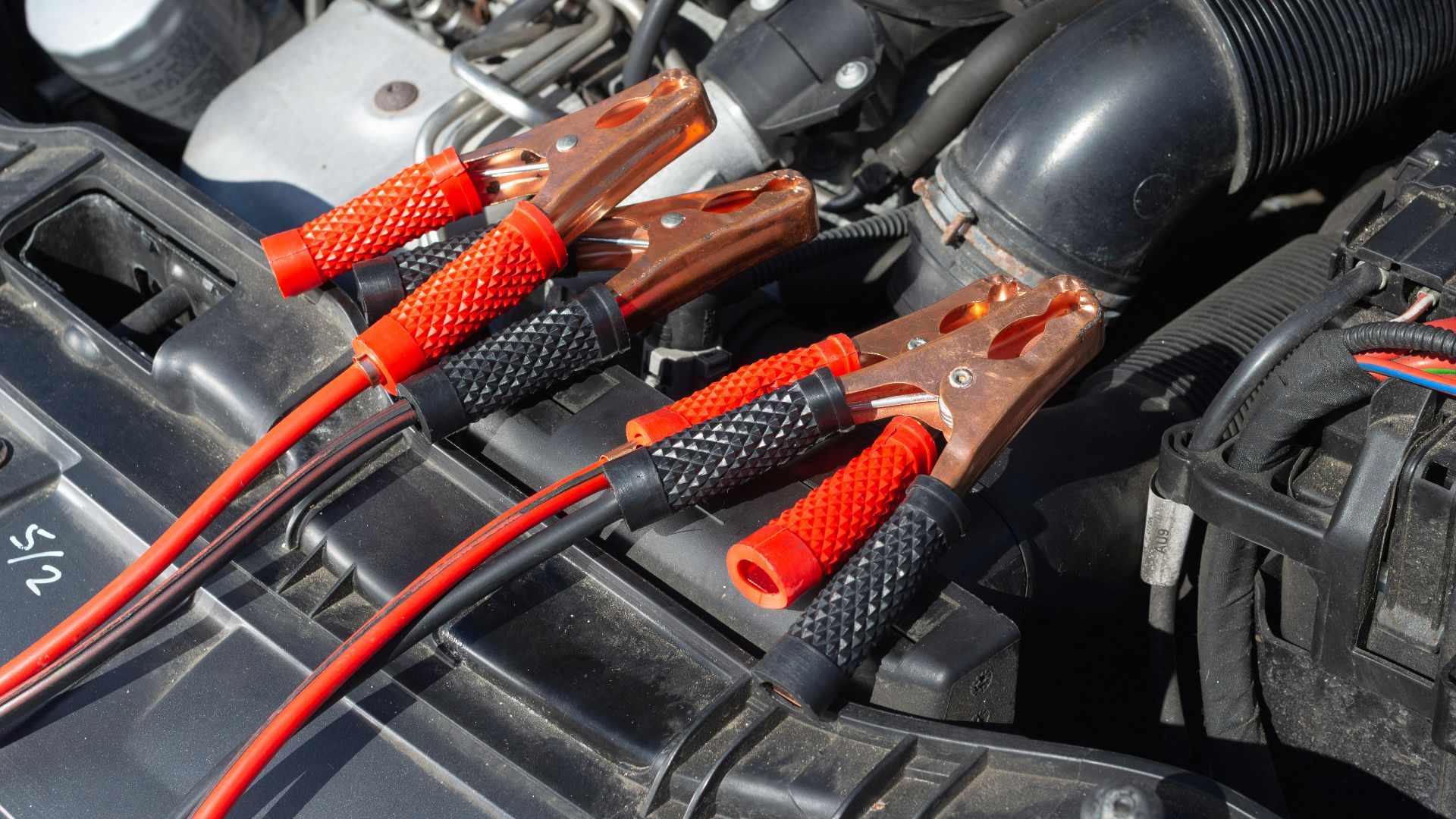 black and brown handle hand tool