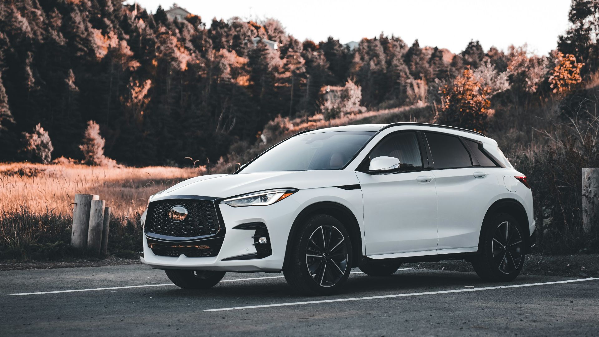 White suv parked in front of autumn trees