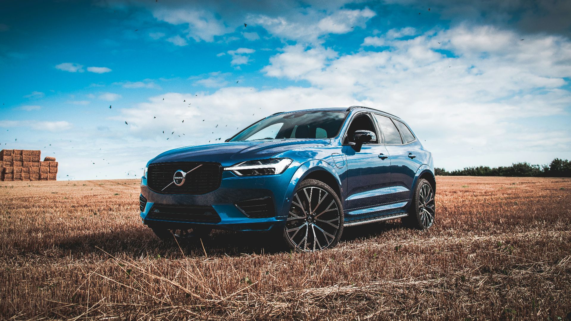 blue bmw m 3 coupe on brown field under blue and white sunny cloudy sky during